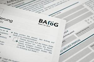 Durchschnittlich 635 Euro erhielten die Geförderten pro Monat im vergangenen Jahr. (Symbolbild)