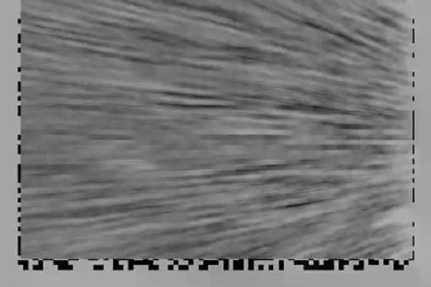 Einige Ticketanbieter offerieren direkt auf dem jeweiligen Dokument einen Link. So kannst Du mit einem Fingertipp das jeweilige Ticket zu Deiner Wallet hinzufügen.