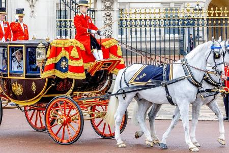 Royal Family verabschiedet Tyrone in den Ruhestand