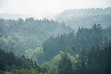 Zur Wochenmitte hat das verregnete Wetter voraussichtlich ein Ende. 
