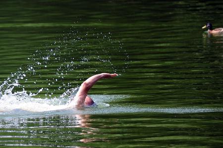 Wer im See schwimmt, ist nie allein - im Gewässer sind auch viele Fische unterwegs. 