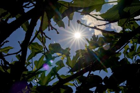 Über Temperaturen um die 30 Grad kann sich vor allem der Süden in den kommenden Tagen freuen. (Archivbild)