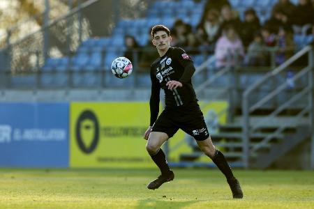 Kuriosum in Dänemark: 55 Kilo Kartoffeln für 