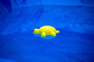 Die vermissten Kinder wurden tot in einem privaten Pool gefunden. (Symbolbild)