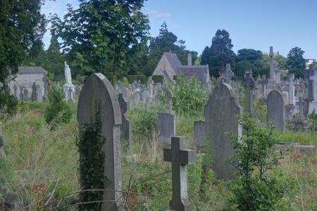 Der Deansgrange Cemetery