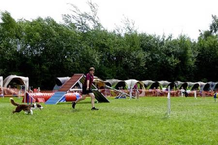 Falkensteinsee Parkour, Hunde, Training