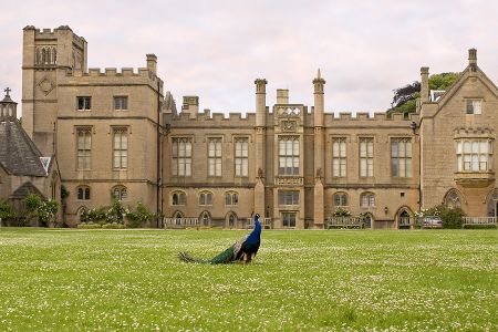 Newstead Abbey
