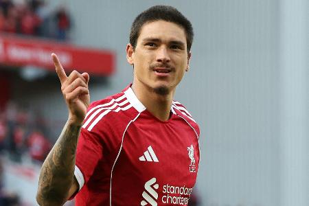 Nunez verlässt Liverpool: 500 Millionen Euro umgesetzt