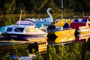 Die Sonne zeigt sich häufig über Deutschland in den kommenden Tagen. 