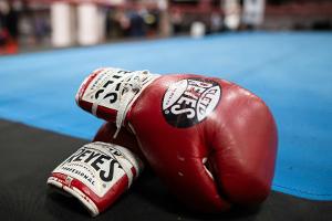 Nach Todesfällen: Japan verschärft Sicherheitsregeln im Ring