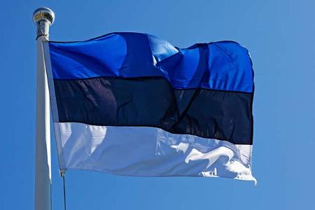 Flagge Estland