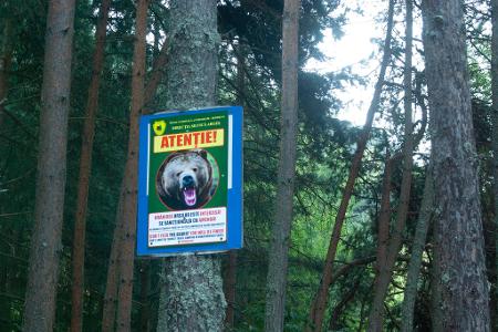 Dutzende Schilder am Rand der Bergstraße Transfagarasan in den rumänischen Karpaten drohen strenge Strafen an für Menschen, die Bären füttern.