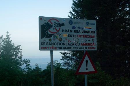 Es ist problematisch, wenn Menschen Bären füttern.