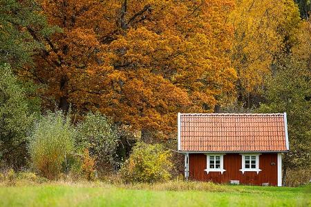 Schwedenhaus Im Herbstwald