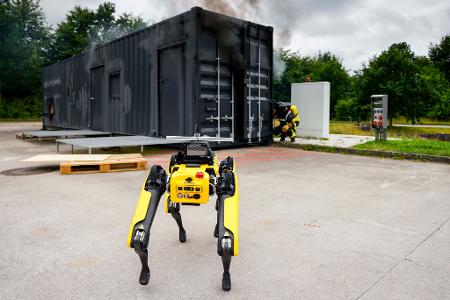 Die Wissenschaftler füttern 