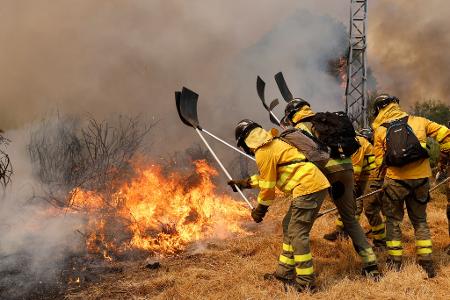 Seit fast zwei Wochen hält eine Waldbrand-Serie die Einsatzkräfte auf Trab.