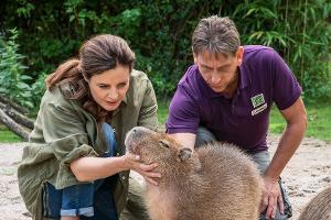 TV-Tipps am Dienstag