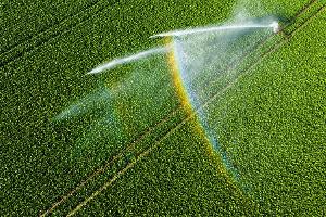 Nicht einmal fünf Prozent der landwirtschaftlichen Fläche kann bewässert werden. 