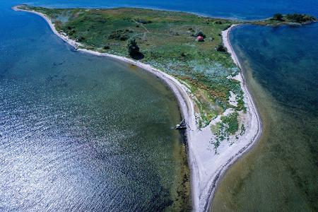 Die Insel Walfisch ist mit knapp neun Hektar die kleinste der drei Vogelschutzinseln in der Wismarbucht.