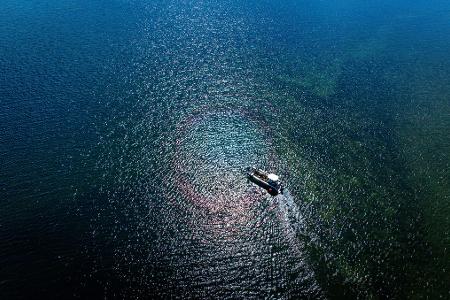 Vor der Sommerfrische auf der Insel Walfisch steht für die Ziegen die Überfahrt vom Festland per Boot.