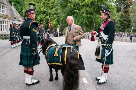 Start in den Sommerurlaub: Tierischer Empfang für König Charles