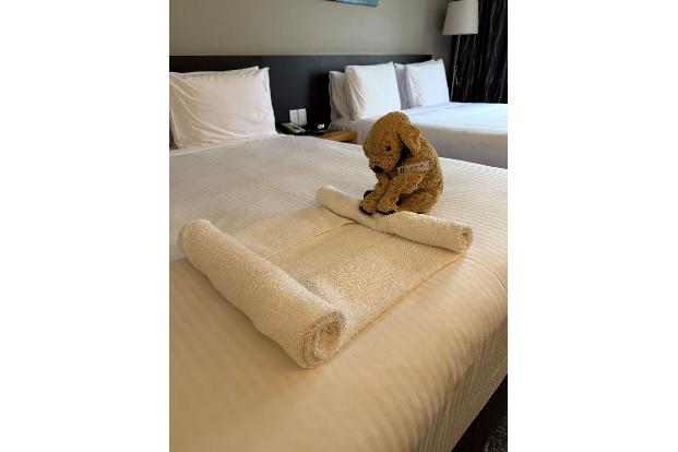 Der kleine Stoffhund Jack macht sich auch im Housekeeping nützlich, wie Hotelmitarbeiter in Posts zeigen.