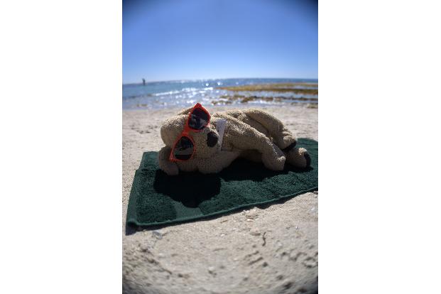 Auch am Strand durfte sich Jack schon sonnen.