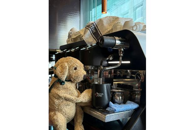 Auch die Espresso-Maschine weiß Jack bereits zu bedienen, sagt die Belegschaft.