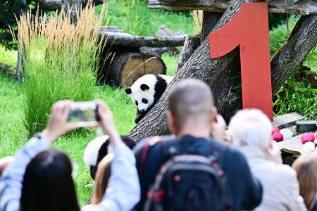Die Geburt der beiden war ein seltenes Ereignis.