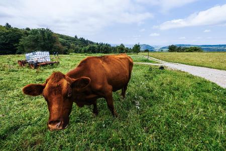 Es gibt auch gute Nachrichten: Die neue Woche wird oftmals sonnig. 