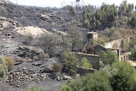 Die Zahl der Todesopfer der verheerenden Waldbrände ist in Portugal gestiegen. Historische Dörfer mussten evakuiert werden.