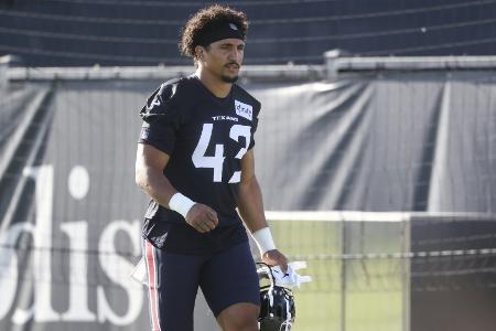 NFL-Sextett um Johnson und Krieg entlassen