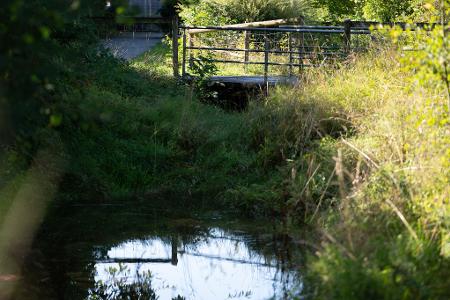 Unter der Brücke hatten Anwohner schon früh den Geruch mitbekommen.