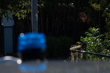 Die Leiche war stark verwest. 