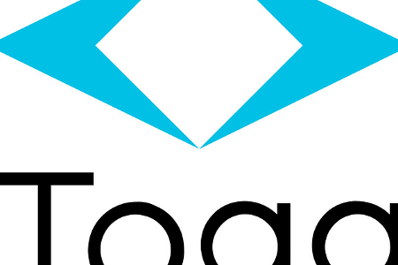 Togg Logo 2021