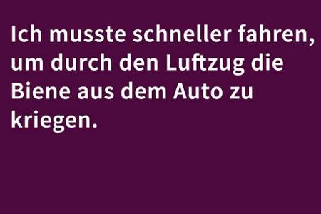 Versicherung witzig Special