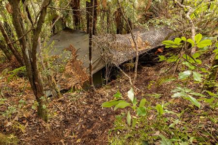 Das Hauptlager wurde in einem dichten Wald auf der Nordinsel entdeckt.