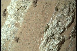 Eine vom Nasa-Rover "Perseverance" im vergangenen Jahr auf dem Mars entnommene Gesteinsprobe könnte nach Angaben der US-Raumfahrtbehörde möglicherweise Spuren von früherem mikrobiellen Leben enthalten.