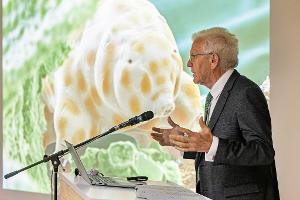 Winzig und doch bärenstark: Die neu entdeckte Bärtierchenart "Ramazzottius kretschmanni".