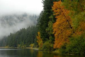 Bayerischer Wald: Den Herbst in der Natur genießen