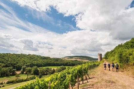 od-2016-rheinlandpfalz-rheinhessen-Hiwweltour Heideblick2 (jpg)