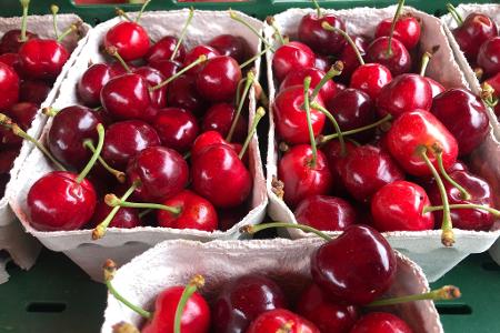 Angebaut werden in Deutschland vor allem Süßkirschen. (Archivbild)