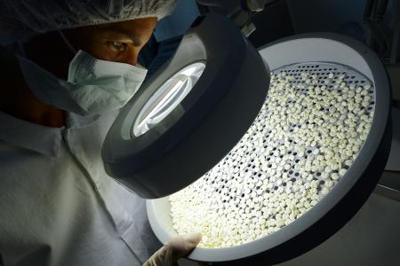 Die Pharmaproduktion ist besonders stark reguliert