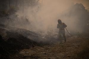 In Portugal wurde eine Fläche so groß wie das Saarland von den Flammen zerstört. (Archivbild)