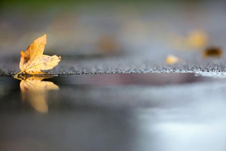 Noch hält sich die herbstliche Zweiteilung beim Wetter in Deutschland. (Archivbild)