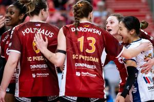 Volleyball: SC Potsdam zieht sich vom Bundesliga-Betrieb zurück