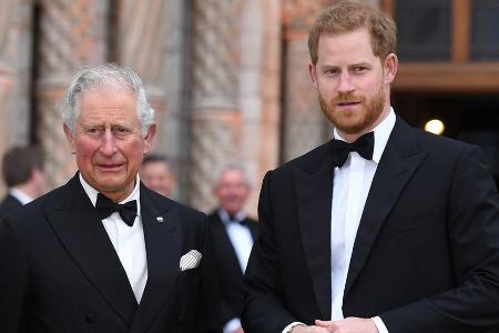 Prinz Harry wehrt sich gegen Berichte über Treffen mit König Charles