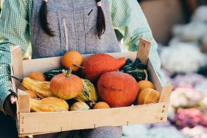 Vielseitige Herbstküche: Das macht Kürbis so gesund