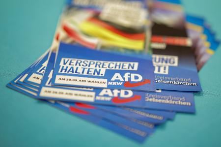 Die AfD brachte keinen ihrer Kandidaten in den Stichwahlen durch.
