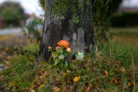 Auch an einem Baum in der Nähe des Tatorts wurden Blumen abgelegt. 